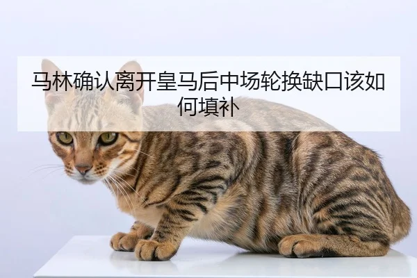 ma-lin-que-ren-li-kai-huang-ma-hou-zhong-chang-lun-huan-que-kou-gai-ru-he-tian-bu-1-936.jpg